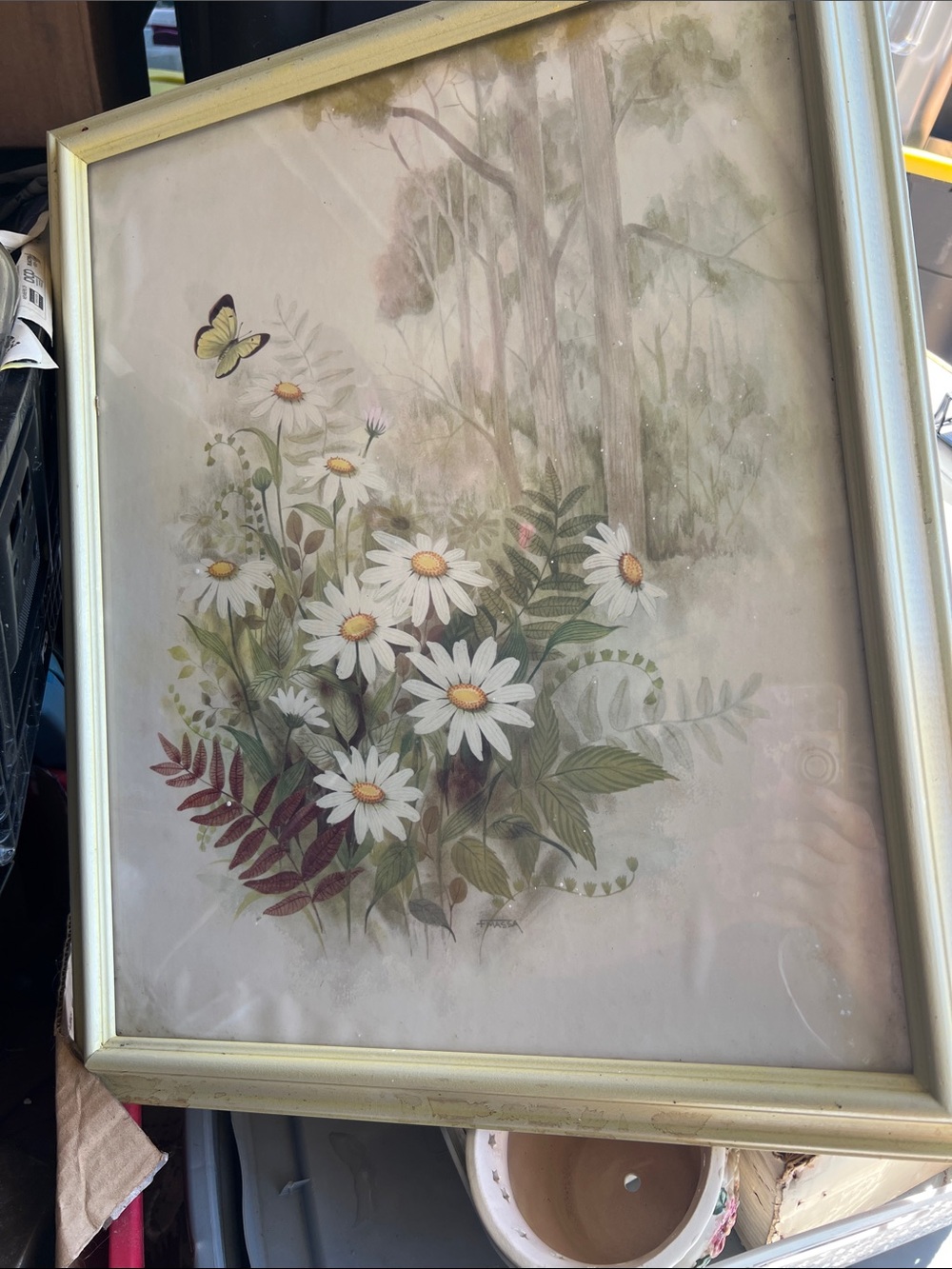 Vintage Framed Botanical Daisy Print with Butterfly - Soft Green & White